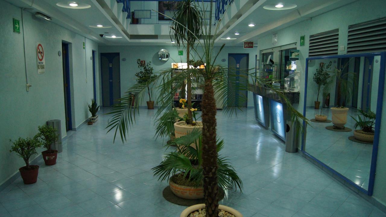 Hotel Muy (Adults Only) Meksika Dış mekan fotoğraf